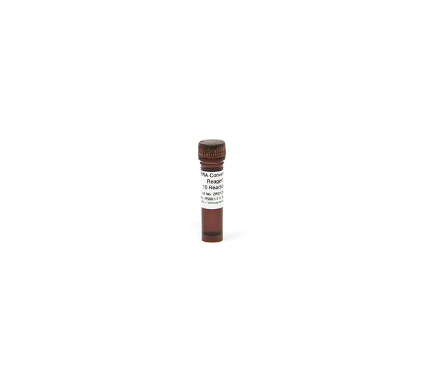 RNA Conversion Reagent